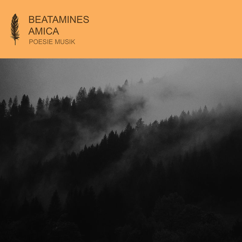 Beatamines - Amica / POESIE MUSIK