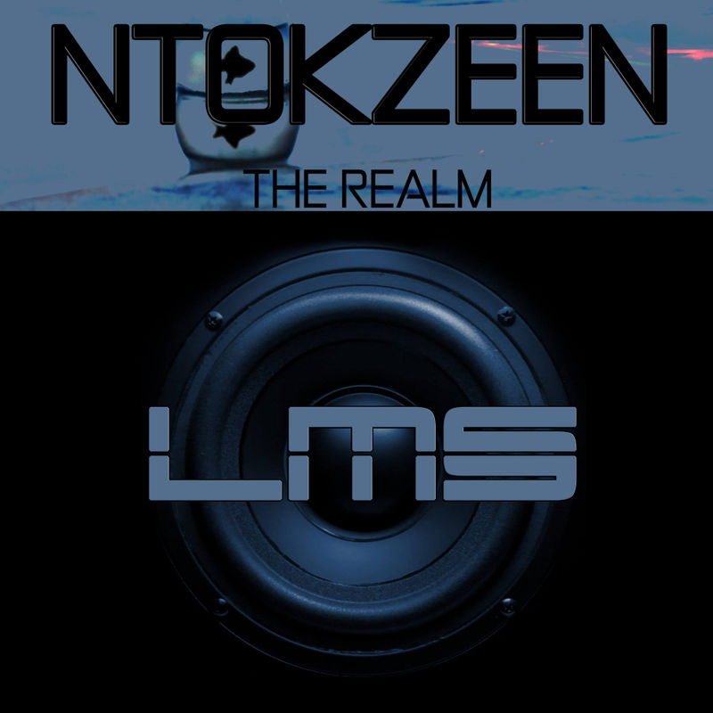NtokzeeN - The Realm (Afro Mix) / LadyMarySound International