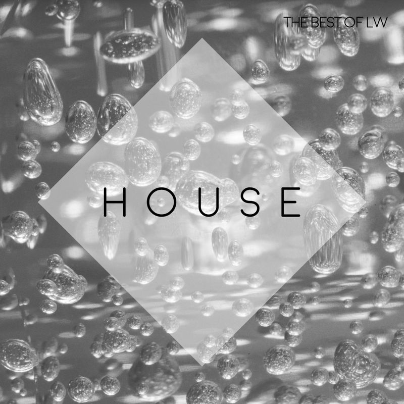 VA - Best of LW House IV / LW Recordings