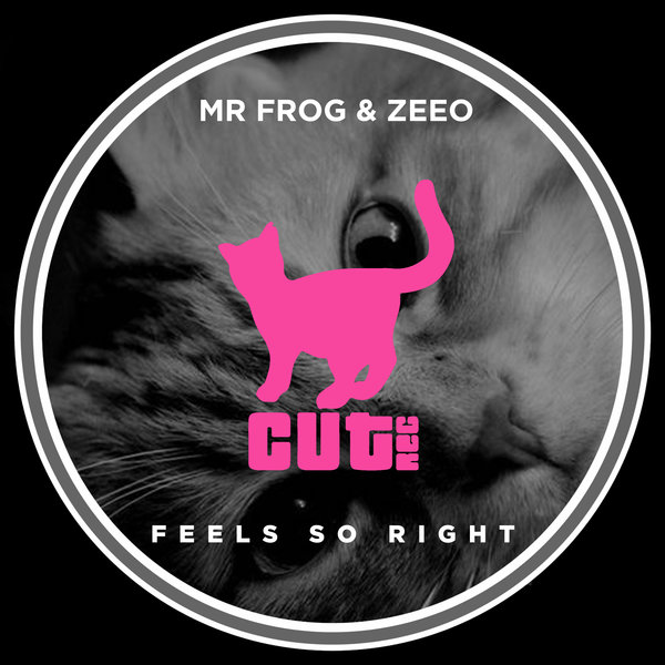 Mr. Frog & Zeeo - Feel So Right / Cut Rec Promos