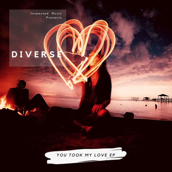 Di Verse - You Took My Love / Inspected Music