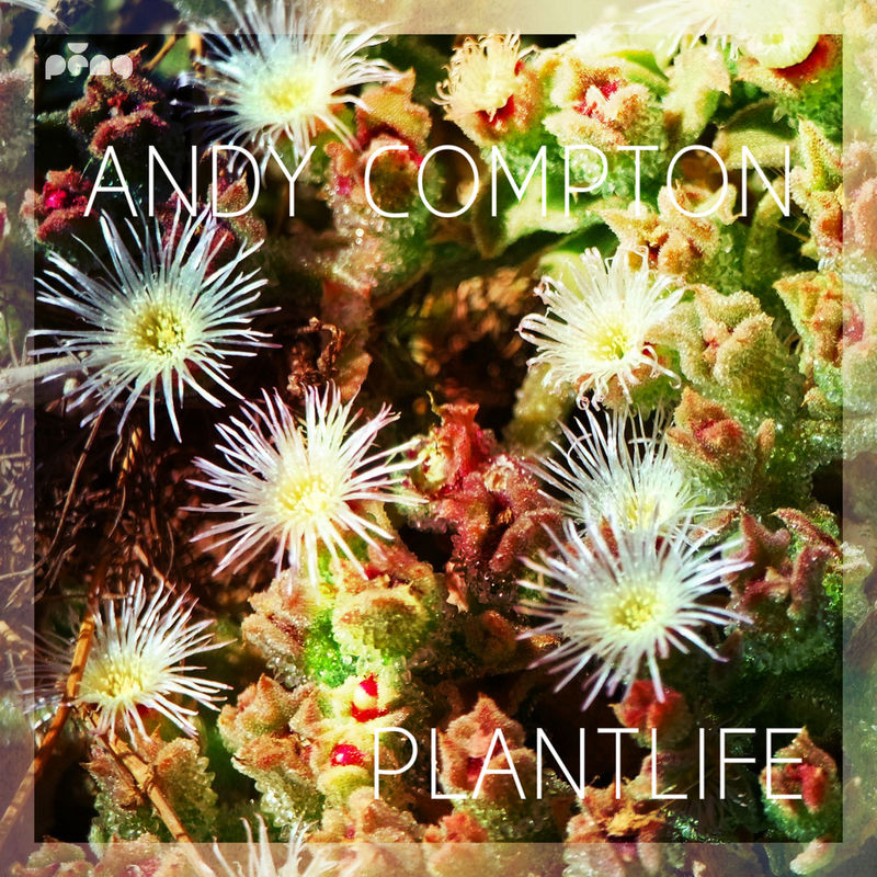 Andy Compton - Plantlife / Peng