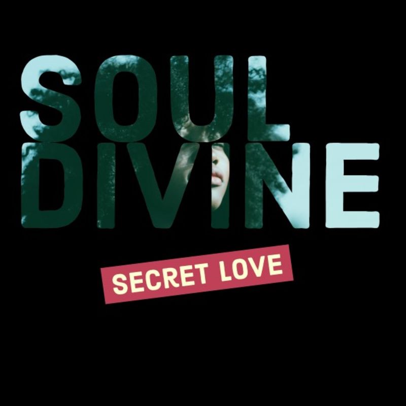 Soul Divine - Secret Love (Shane D Remix) / Stereo Flava Records