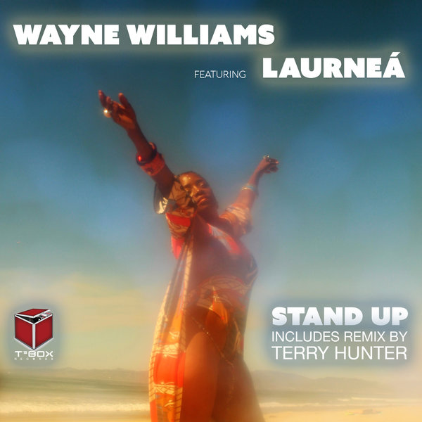 Wayne Williams feat. Laurneá - Stand Up / T's Box