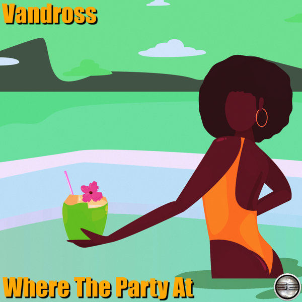 Vandross - Where The Party At / Soulful Evolution