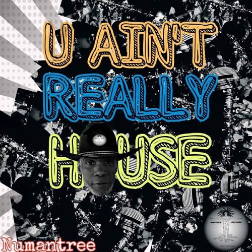 NuMantree - U Ain't Really House (feat. Kim Beacham, Yasin Bt, Espinet & Rasmir Mantree) / Mantree Records