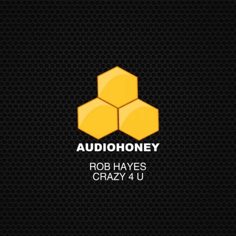 Rob Hayes - Crazy 4 U / Audio Honey