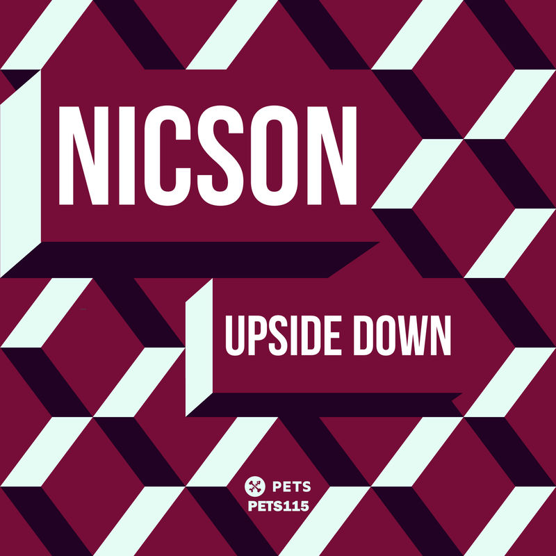 Nicson - Upside Down / Pets Recordings