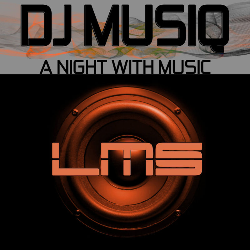 DJ Musiq - A Night With Music / LadyMarySound International