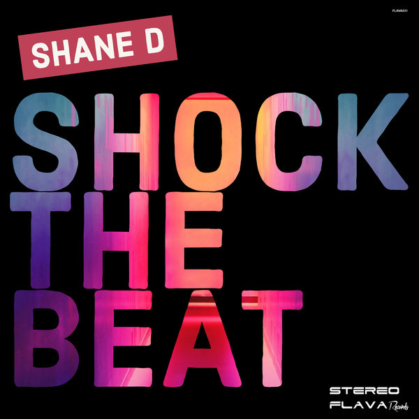 Shane D - Shock The Beat / Stereo Flava Records