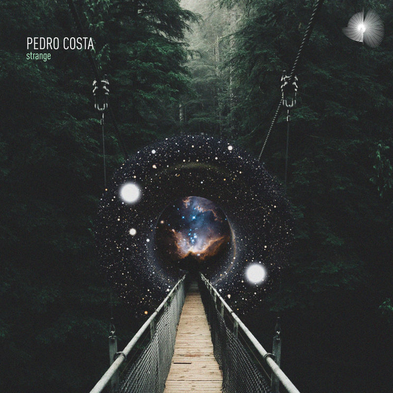 Pedro Costa - Strange / Bosom