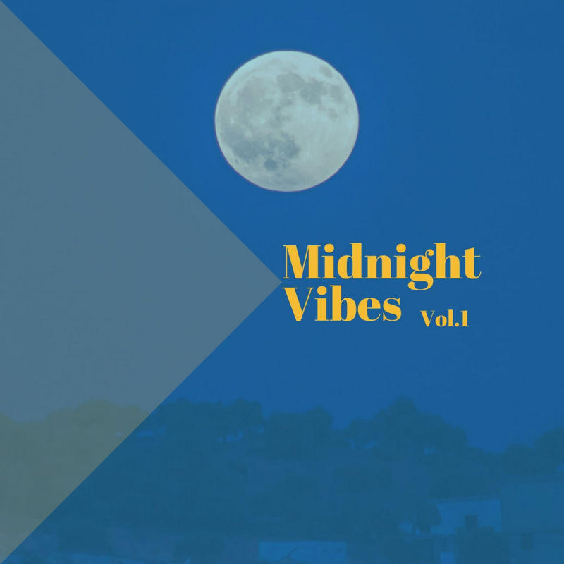 VA - Midnight Vibes, Vol. 1 / WayOn