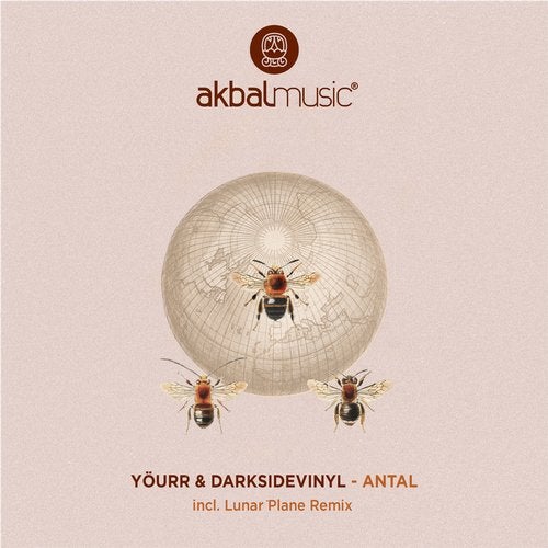 Yourr, Darksidevinyl - Antal / Akbal Music