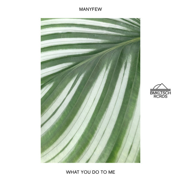 ManyFew - What You Do To Me / BMKLTSCH RCRDS