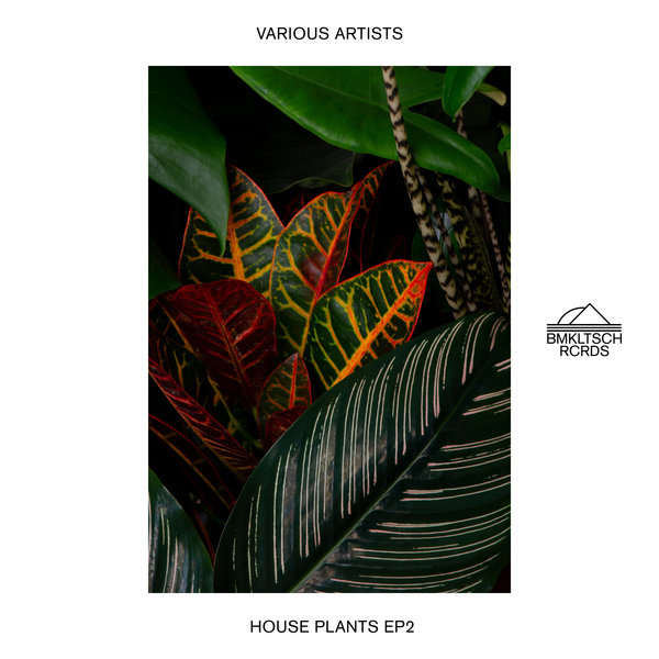 VA - House Plants EP 2 / BMKLTSCH RCRDS