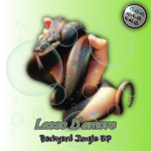 Lasso D'Amore - Backyard Jungle / Hot Digits