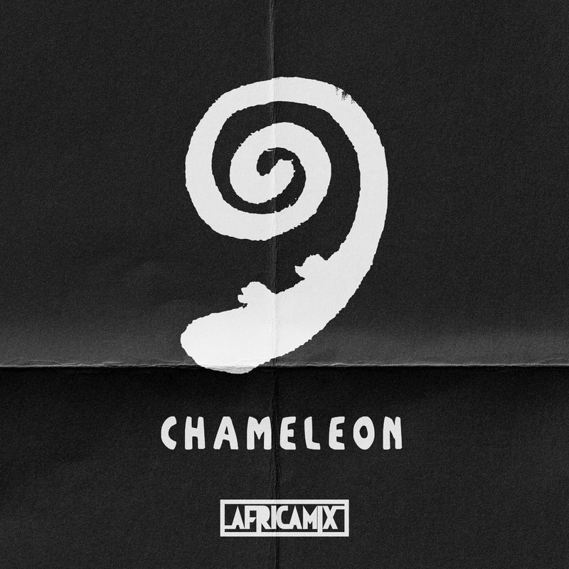 VA - Chameleon / Africa Mix