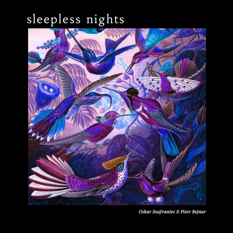 Oskar Szafraniec & Piotr Bejnar - Sleepless Nights / Connaisseur Recordings