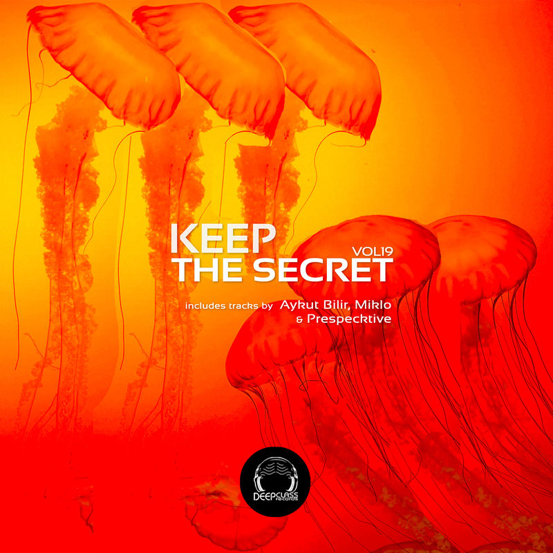 VA - Keep the Secret, Vol. 19 / DeepClass Records
