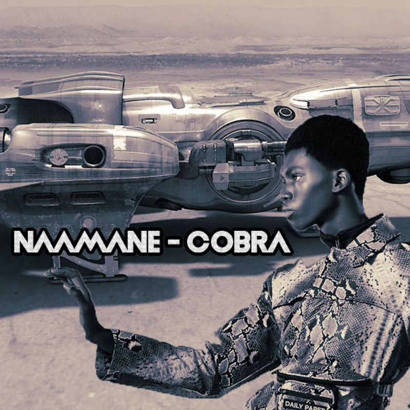 Naamane - Cobra / Open Bar Music