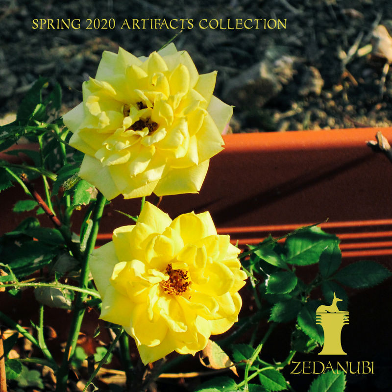 VA - Spring 2020 Artifacts Collection (Extended) / Zedanubi