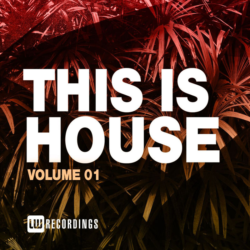 VA - This Is House, Vol. 01 / LW Recordings