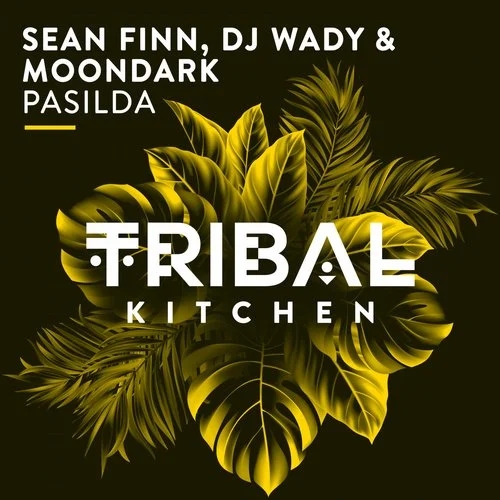 DJ Wady, Sean Finn, MoonDark - Pasilda / Tribal Kitchen
