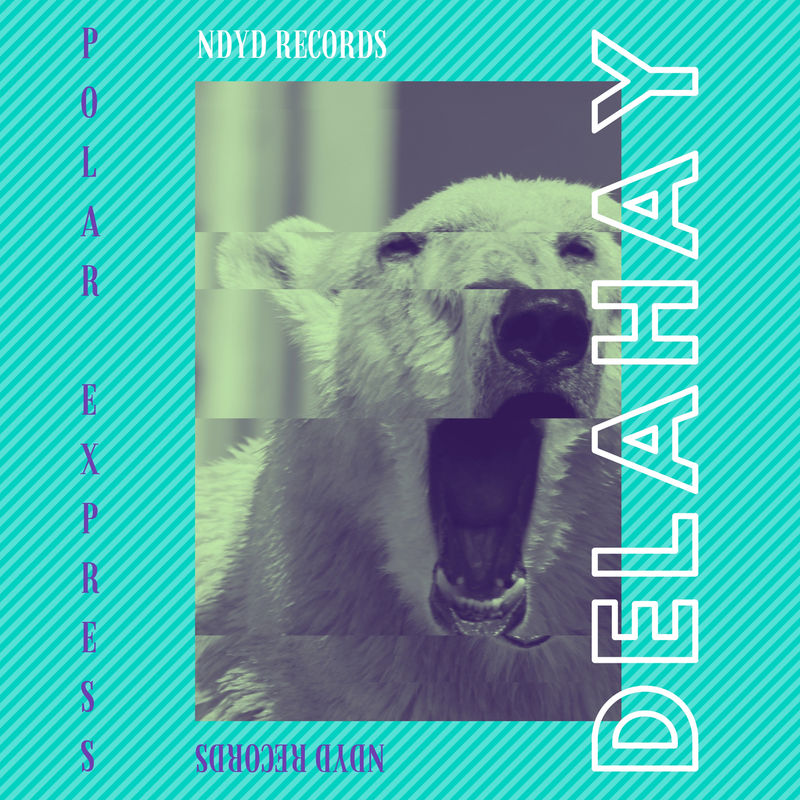 Delahay - Polar Express / NDYD Records
