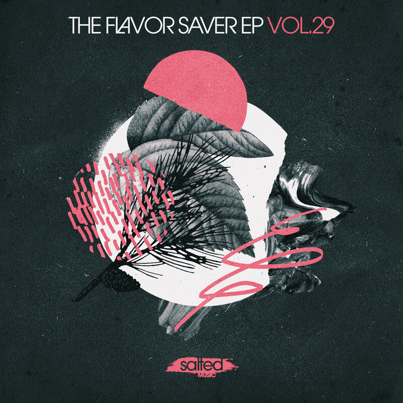 VA - The Flavor Saver, Vol. 29 / SALTED MUSIC