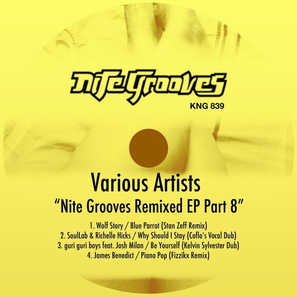 VA - Nite Grooves Remixed EP, Pt. 8 / Nite Grooves