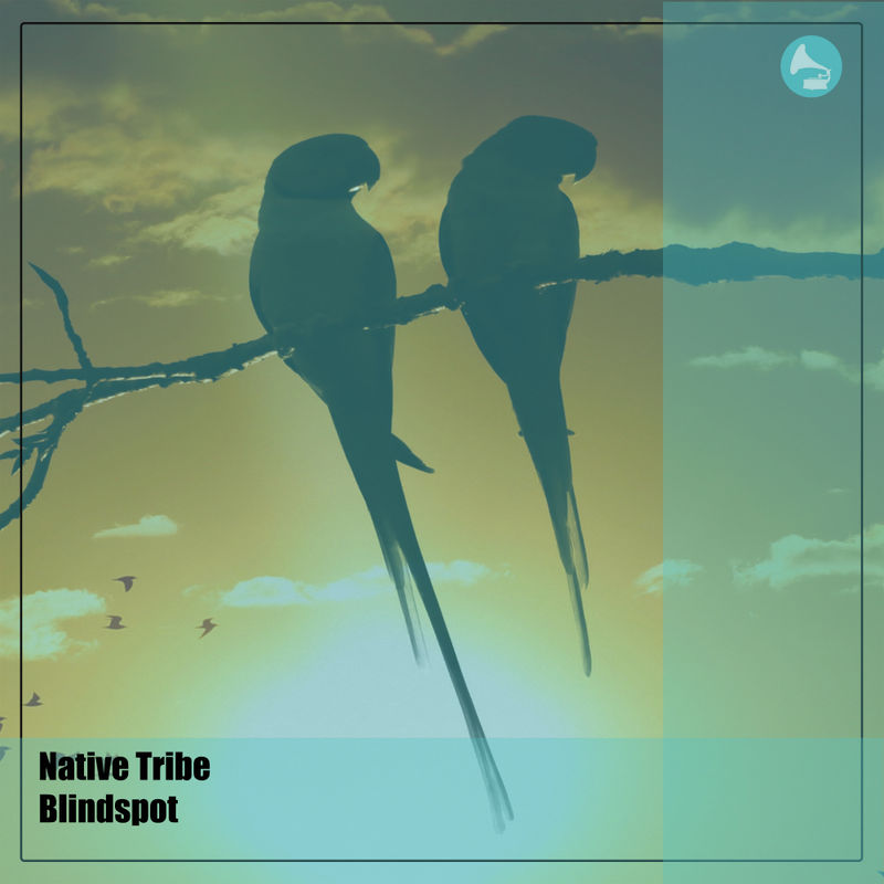 Native Tribe - Blindspot / WeAreiDyll Records