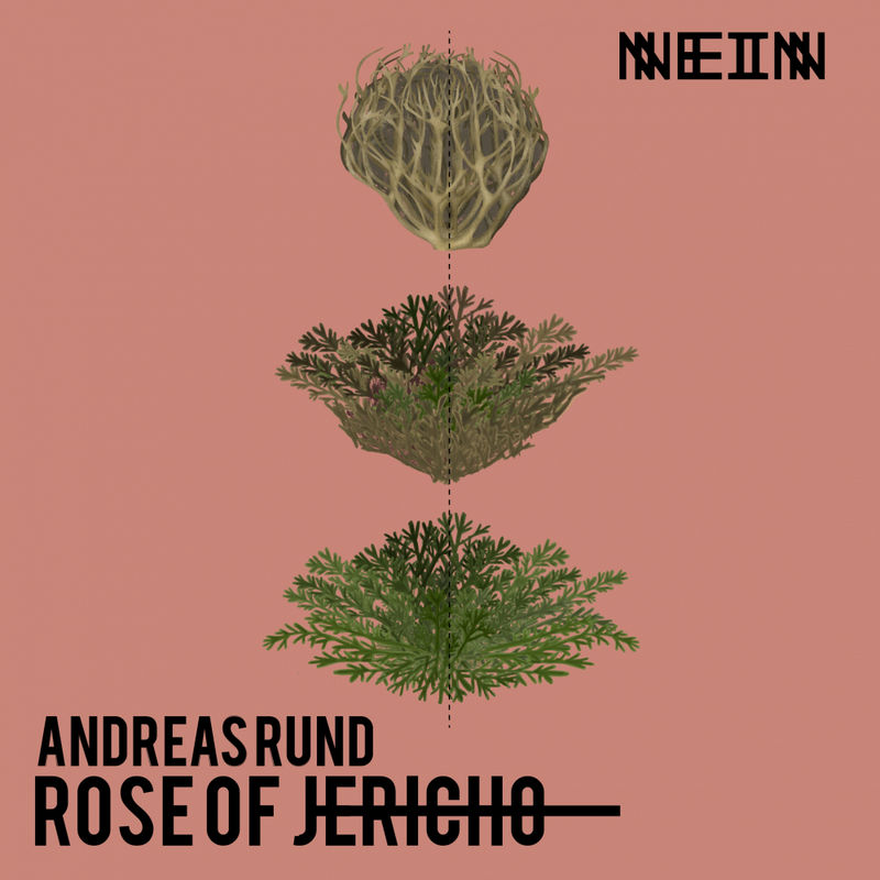 Andreas Rund - Rose of Jericho / Nein Records