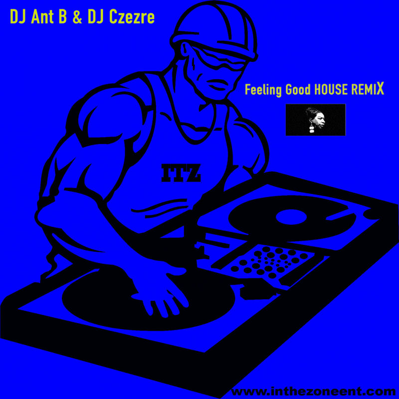 DJ Ant B & DJ Czezre - Feeling Good House Remix / In The Zone Entertainment