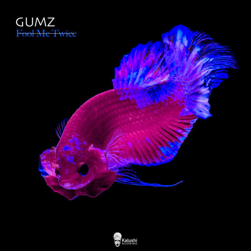 Gumz - Fool Me Twice / Kalushi Recordings