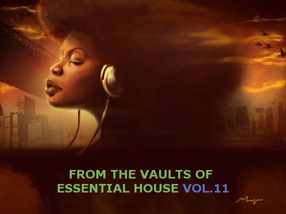 VA - From The Vaults Of EssentialHouse - Vol. 11