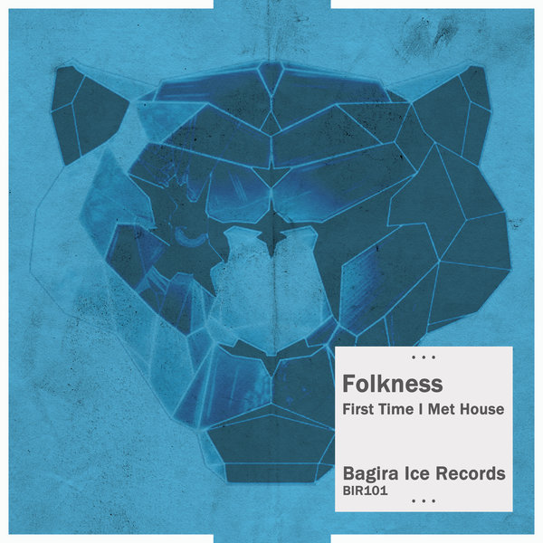 Folkness - First Time I Met House / Bagira Ice Records