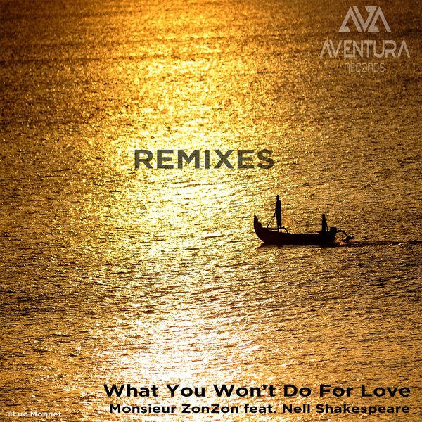 Monsieur ZonZon - What You Won't Do for Love (Remixes) / Aventura Records