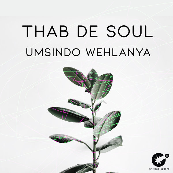 Thab De Soul - Umsindo Wehlanya / Celsius Degree Records