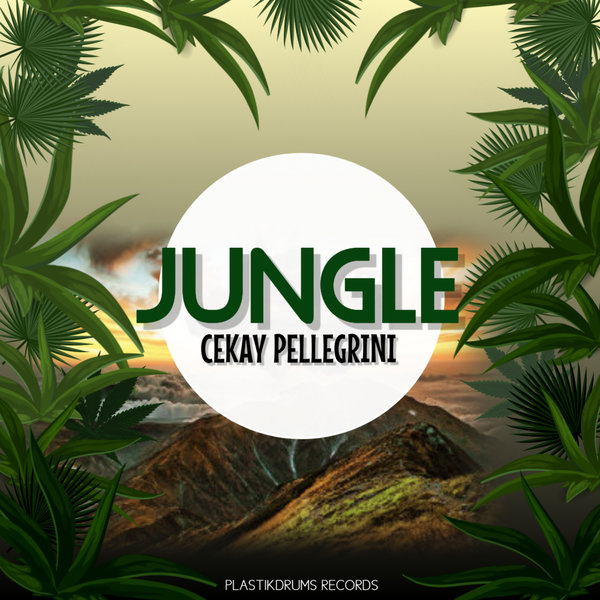 CK Pellegrini - Jungle (Cekay 2020 Edit) / Plastikdrums Records