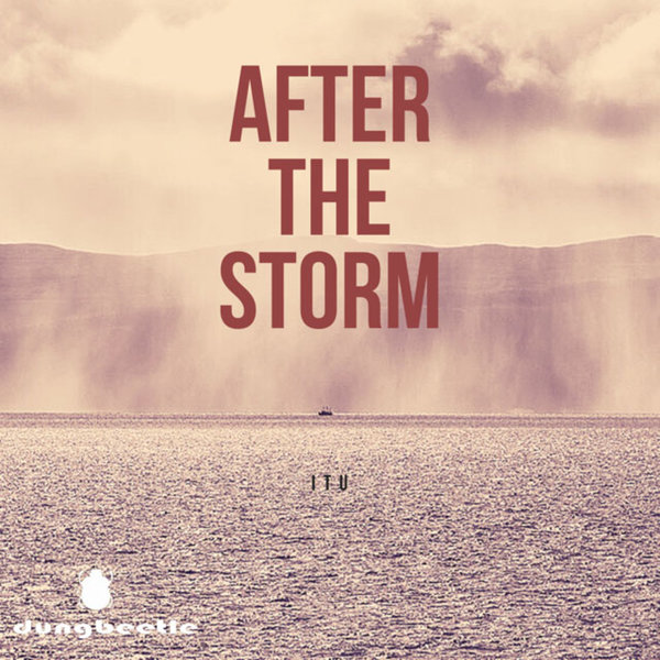 Itu - After the Storm / Dung Beetle Records