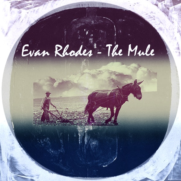 Evan Rhodes - The Mule / Kolour Recordings