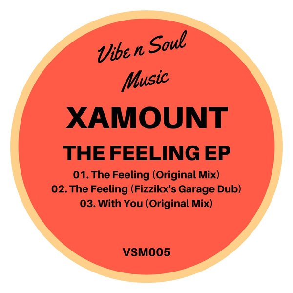 Xamount - The Feeling EP / Vibe n Soul Music