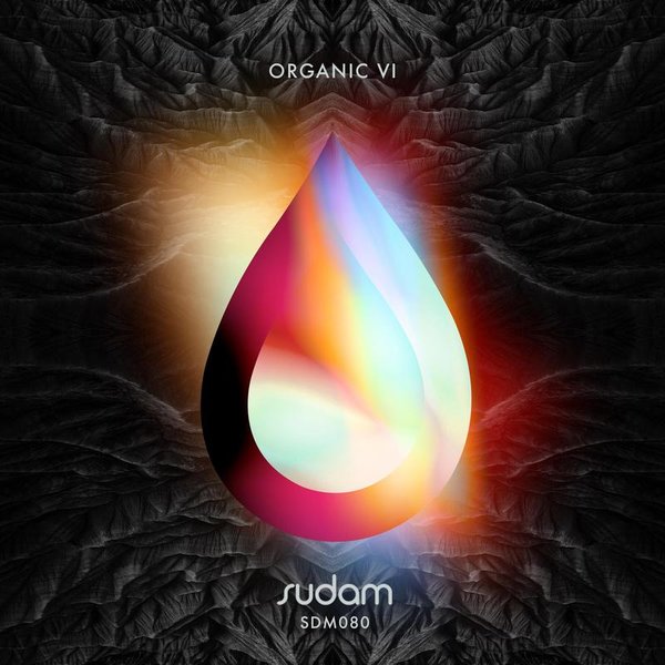 VA - Organic VI / Sudam Recordings