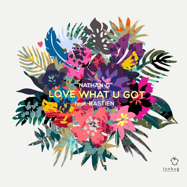 Nathan G - Love What U Got / Luvbug Recordings