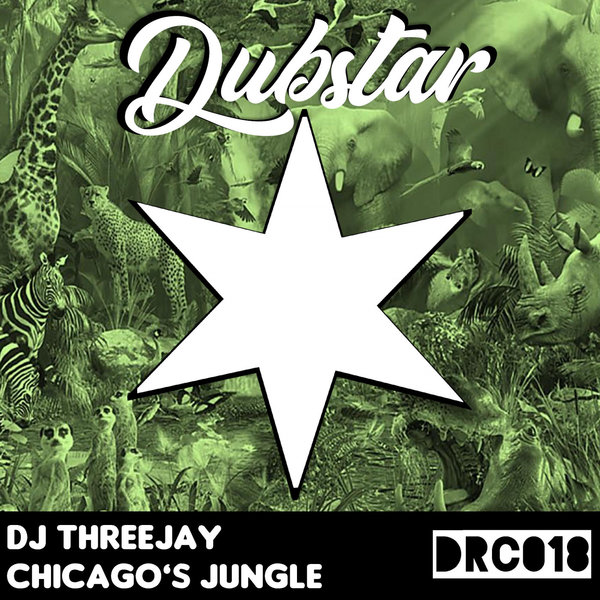 DJ ThreeJay - Chicago's Jungle / Dubstar Recordings