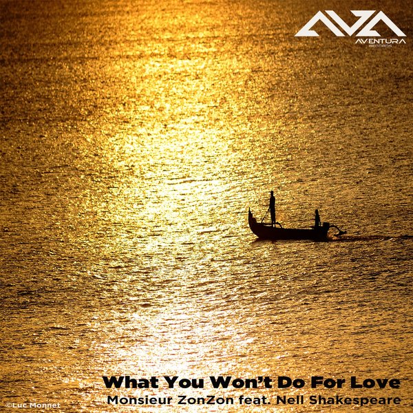 Monsieur ZonZon - What You Won't Do For Love / Aventura Records