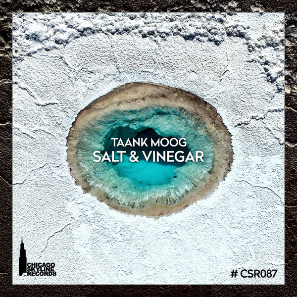 Taank Moog - Salt & Vinegar / Chicago Skyline Records