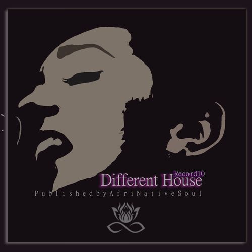 VA - Different House Record10 / Afrinative Soul