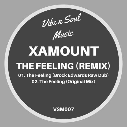 Xamount - The Feeling (Remix) / Vibe n Soul Music