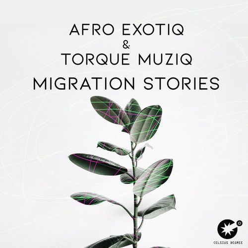 Afro Exotiq & TorQue MuziQ - Migration Stories / Celsius Degree Records